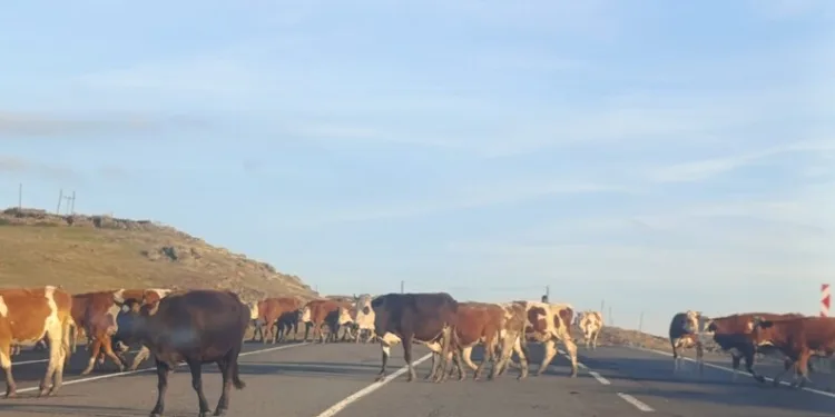 Madde krizine giren kişi caminin tuvalet camlarını parçaladı