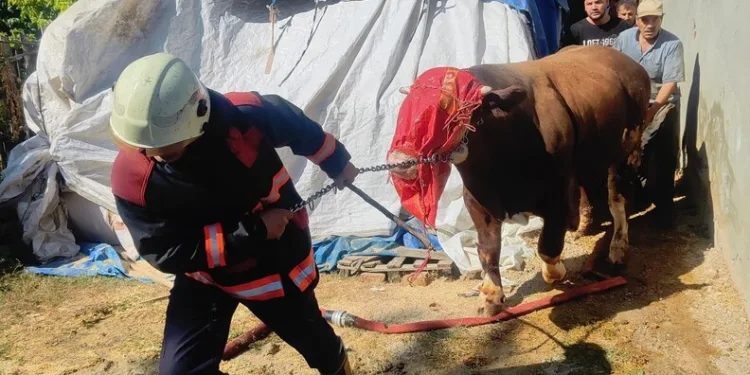 Madde krizine giren kişi caminin tuvalet camlarını parçaladı