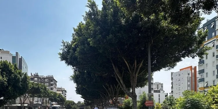 3 şahsın yakalandığı olayda kayıp yaralı polis tarafından hastanede bulundu