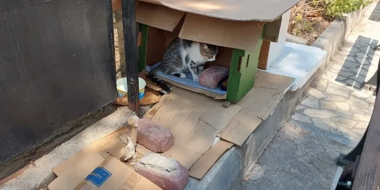 Tekirdağ’da sokak çetelerine darbe: 151 şüpheliye işlem yapıldı