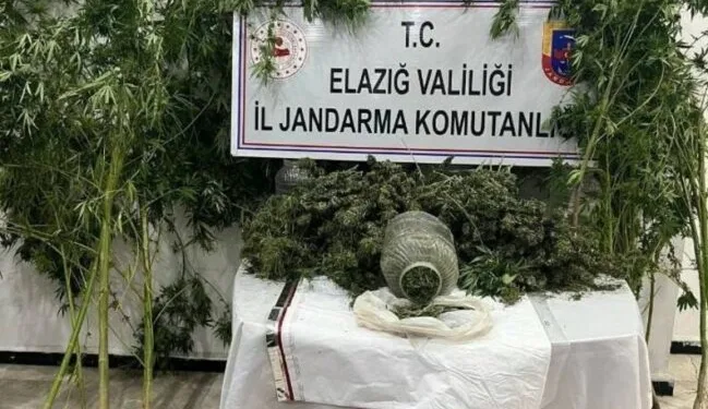 Sinop’ta uyuşturucu operasyonu: 2 gözaltı