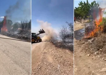 Bursa’da çalılık alanda çıkan yangın korkuttu