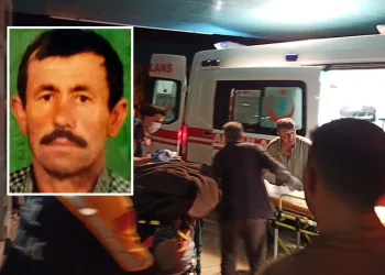 Koyununu kurtarmak isterken yamaçtan düşerek yaralandı