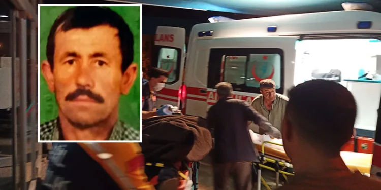 Koyununu kurtarmak isterken yamaçtan düşerek yaralandı