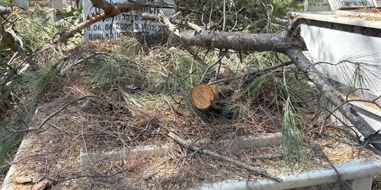 Mezarlıkta budanan ağaçlar kabirlere zarar verdi
