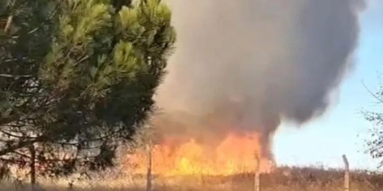 Tekirdağ’da korkutan yangın