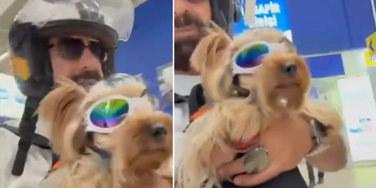 Köpeği ile markete alınmayan vatandaş isyan etti