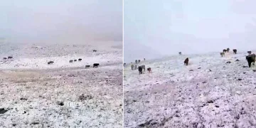 Erzurum’a mevsimin ilk karı yağdı
