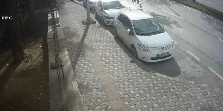 Bursa’da fırtına ağacı böyle devirdi