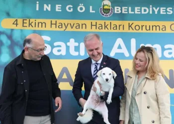 İnegöl Belediyesi’nden can dostlarına yeni yuva