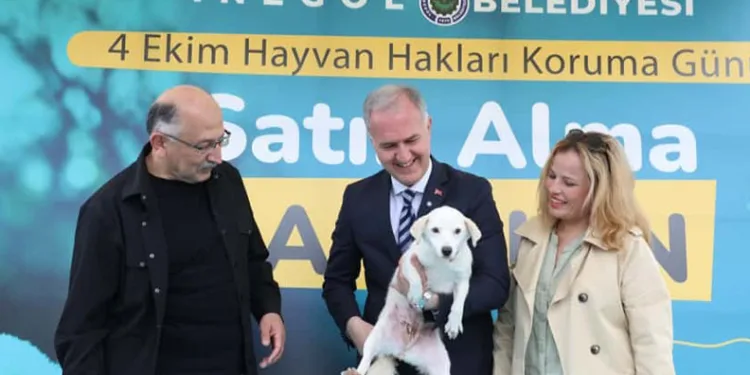İnegöl Belediyesi’nden can dostlarına yeni yuva