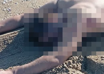 Sakarya’da sahilde çıplak erkek cesedi bulundu