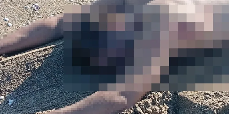 Sakarya’da sahilde çıplak erkek cesedi bulundu