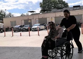 Bursa’da piknik yaparken yılan ısırdı, hastaneye kaldırıldı