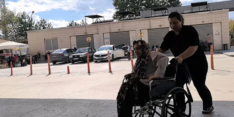 Bursa’da piknik yaparken yılan ısırdı, hastaneye kaldırıldı