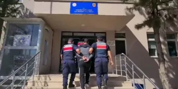 7 ilde 7 çeteye operasyon