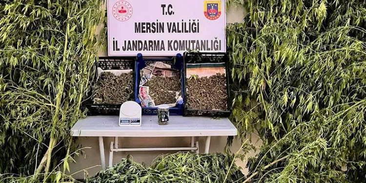 Mersin’de uyuşturucu operasyonu