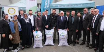 Bursa’da büyükbaşlar İtalyan çimi ile beslenecek
