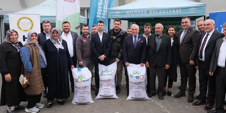 Bursa’da büyükbaşlar İtalyan çimi ile beslenecek