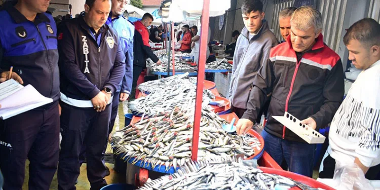 Yenişehir’de balık pazarı’na sıkı denetim