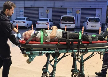 Bursa’da ceviz ağacından düşen adam ağır yaralandı