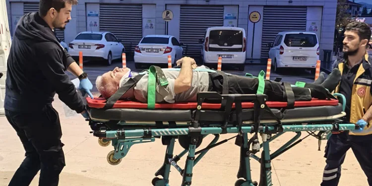 Bursa’da ceviz ağacından düşen adam ağır yaralandı