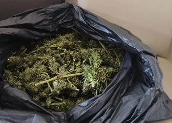 Güvercin kümesinde uyuşturucu ele geçirildi
