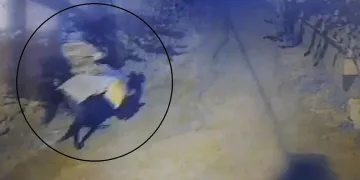 Atla geldi, yaşlı çifti öldürüp kaçtı