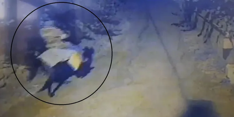 Atla geldi, yaşlı çifti öldürüp kaçtı
