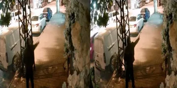 Vizör Fotoğraf Grubu’nun “Zincir” projesi sanatseverlerle buluştu