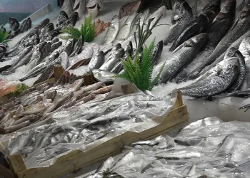Bursa’da ünlü balıkçıdan örnek bağış