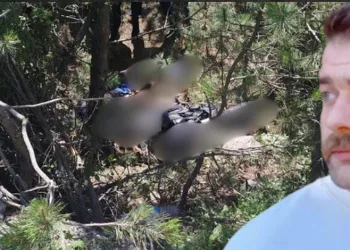 Mudanya Devlet Hastanesi otoparkında araç yangını