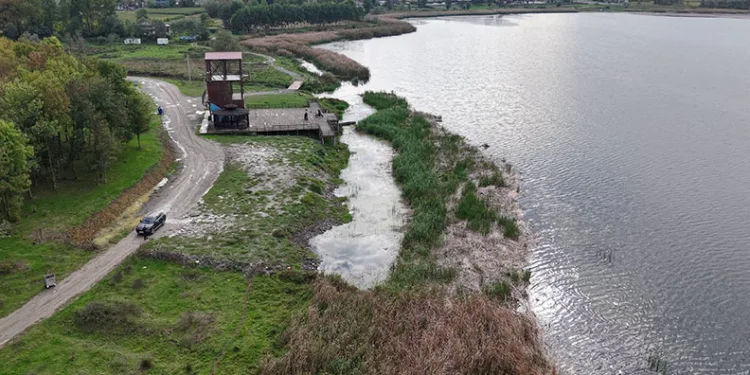 Sakarya’nın alüvyon set gölü can çekişiyor