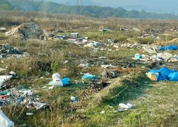 Nilüfer Belediyesi, doğaya atılan molozları temizledi