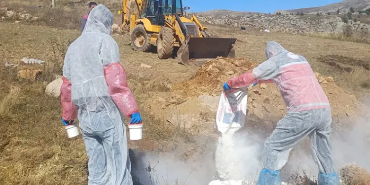 Gümüşhane’de şarbon hastalığı nedeniyle 6 köye giriş çıkış yasaklandı