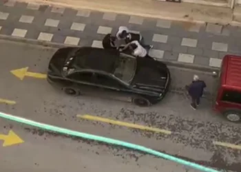 Kooperatif kavgasında kan döküldü: 2 ölü
