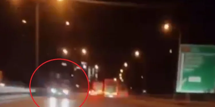 Çöp eve dönen daireden 2 kamyon atık çıktı: Belediye ekipleri şoke oldu