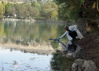 Pikniğe giden öğrenciler gölette kadın cesedi buldu