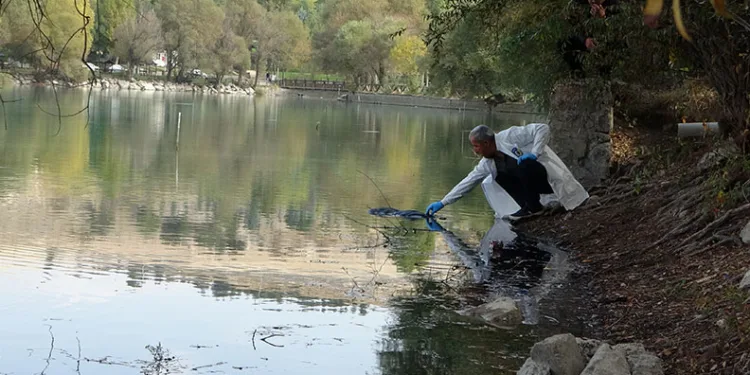 Pikniğe giden öğrenciler gölette kadın cesedi buldu