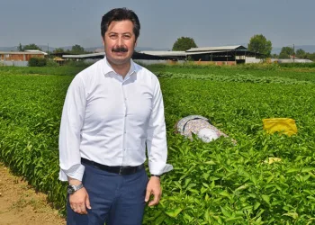 Dünya gıda pazarında Türkiye’nin ürünleri yer alacak