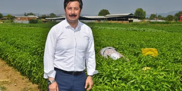 Dünya gıda pazarında Türkiye’nin ürünleri yer alacak