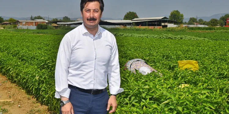 Dünya gıda pazarında Türkiye’nin ürünleri yer alacak
