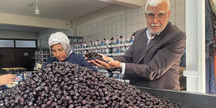 Her 6 sofralık zeytinden birini Bursa ve Balıkesir üretecek