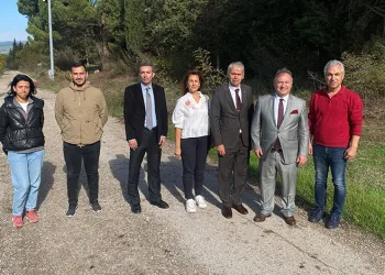 Bursa tarımına akademik bakış
