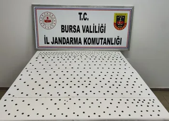 Jandarma’dan İznik’te tarihi operasyon