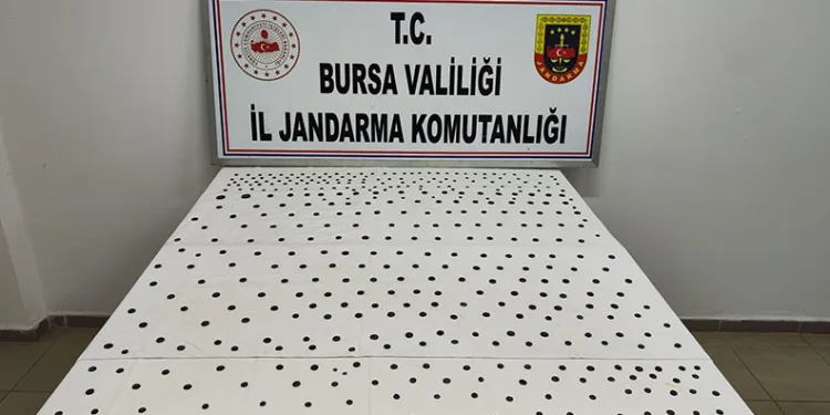 Jandarma’dan İznik’te tarihi operasyon