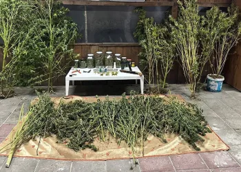 Bursa’da 9 kilo 400 gram uyuşturucu madde ele geçirildi
