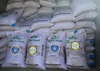 Büyükşehir ile tarlalar bereketleniyor