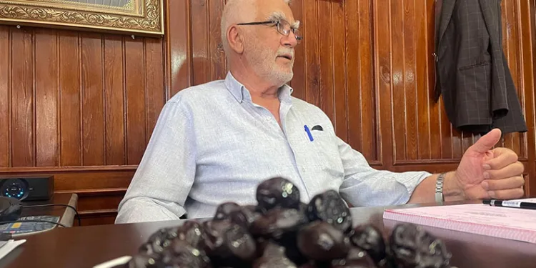 Gemlik zeytini dünya yolunda
