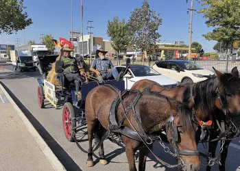 At arabasıyla 4 bin 800 kilometre yol katedecekler